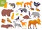 Vector collection of forest animals and birds: bear, fox, hare, owl isolated on white background. Flat hand drawn style.