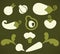 Vector collection of fresh farm vegetables