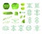 Vector Collection of Han Drawn Design Elements, Eco Natural Product, Farmers Market, Green Watercolor Drawings Isolated.