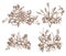 Vector collection of hand drawn autumn flowers