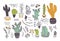 Vector collection of hand drawn different cactus shapes and abstract doodle elements isolated on white background.