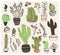 Vector collection of hand drawn different cactus shapes isolated on white background.