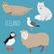 Vector collection with iceland animals on a blue background. Illustration with cute animals for children. Seal, arctic
