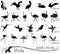 Vector collection of silhouettes of exotic birds