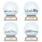 Vector collection of snow globes with city skylines