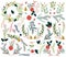 Vector Collection of Vintage Style Hand Drawn Christmas Holiday Florals