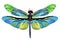 Vector color art dragonfly nature wildlife