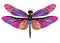 Vector color art dragonfly nature wildlife