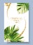 Vector color banner of alocasia tropic leaf