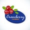 Vector color illustration of cranberry. Cranberry label template. Cranberries isolated icon. Vector illustration for pattern etc.
