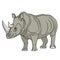 Vector color illustration rhinoceros. Isolated object. EPS10