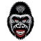 Vector color illustration with a smiling gorilla head