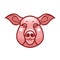 Vector color image of swine or pig head