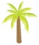 Vector color palm tree for your design.