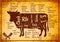 Vector color poster with detailed diagram cutting cows