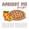 Vector color sketch apricot pie recipe, line art, hand drawn illustration