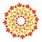 Vector colored round autumn mandala with leaves of maple, oak, beech, horse chestnut and alder