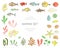 Vector  colored set of fish, sea shells, seaweeds isolated on white background