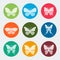 Vector colorful butterflies icons