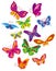 Vector colorful butterfly\'s set