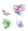 Vector colorful butterfly set with four elements