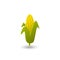 Vector colorful corn icon in flat style