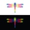 Vector of colorful dragonfly design. insect Animal.