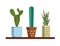 Vector colorful illustration of flat drawn cactus with a pot.