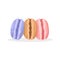 Vector colorful macarons isolated on white background