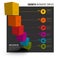 Vector colorful multipurpose Infographic template with cubes, pins and bars