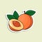 Vector colorful peach sticker. Isolated orange fruit with lines and highlights. Riped peach with stone in cartoon style on the