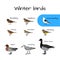 Vector colorful winter bird icons.