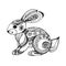 Vector coloring book for meditation and relax.Cute little rabbit. Black and white image on white background of isolated elements.v