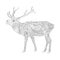 Vector coloring book page for adults. Patterned deer drawing
