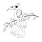 Vector coloring page outline of cartoon bird coloring book for kids
