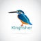 Vector of Common kingfisher Alcedo atthis