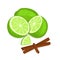 Vector composition of a citrus lime fruit and spice.
