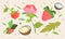 Vector composition of fruits and flowers. The background is vegetal.