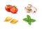 Vector conchiglie pasta tomato basil mushroom set