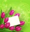 Vector congratulatory background of tulips and car