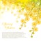 Vector corner bouquet with ornate outline Mimosa or Acacia dealbata or silver wattle flower on the pastel yellow background.