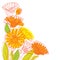 Vector corner bouquet with outline Calendula officinalis or pot marigold, bud, green leaf and orange flower isolated on white.