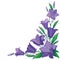 Vector corner bouquet with outline Campanula or Bellflower or Bluebell flower in pastel violet, leaf and bud isolated on white.