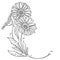 Vector corner bouquet with outline Gerbera or Gerber flower and leaf in black isolated on white background.