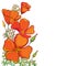 Vector corner bouquet of outline orange California poppy flower or California sunlight or Eschscholzia, leaf and bud isolated.