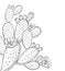 Vector corner bunch of outline Indian fig Opuntia or prickly pear cactus, flower, fruit and spiny stem in black isolated on white.