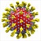 Vector Corona virus covid-19 shape of corona virus  red blue and yellow for medical student study