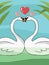 Vector of couple white swan in love.