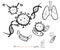 Vector Covid 19 virus and symbol with text., We will fight together., doodle style and black & white colour