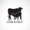 Vector of cow and calf on white background. Farm Animal. cow Icon or logo. Calf is sucking the cow`s milk. Easy editable layered